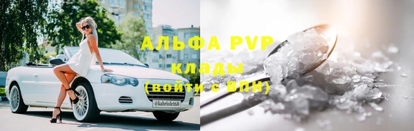 стафф Алексин