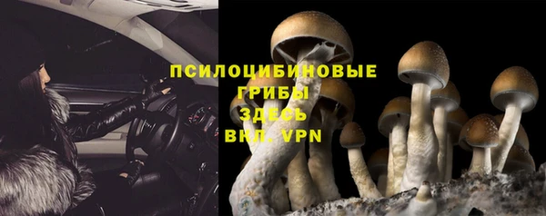 твердый Абдулино