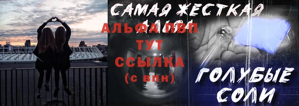 стафф Алексин