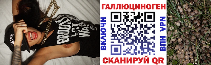 Псилоцибиновые грибы прущие грибы  кракен рабочий сайт  Инза 
